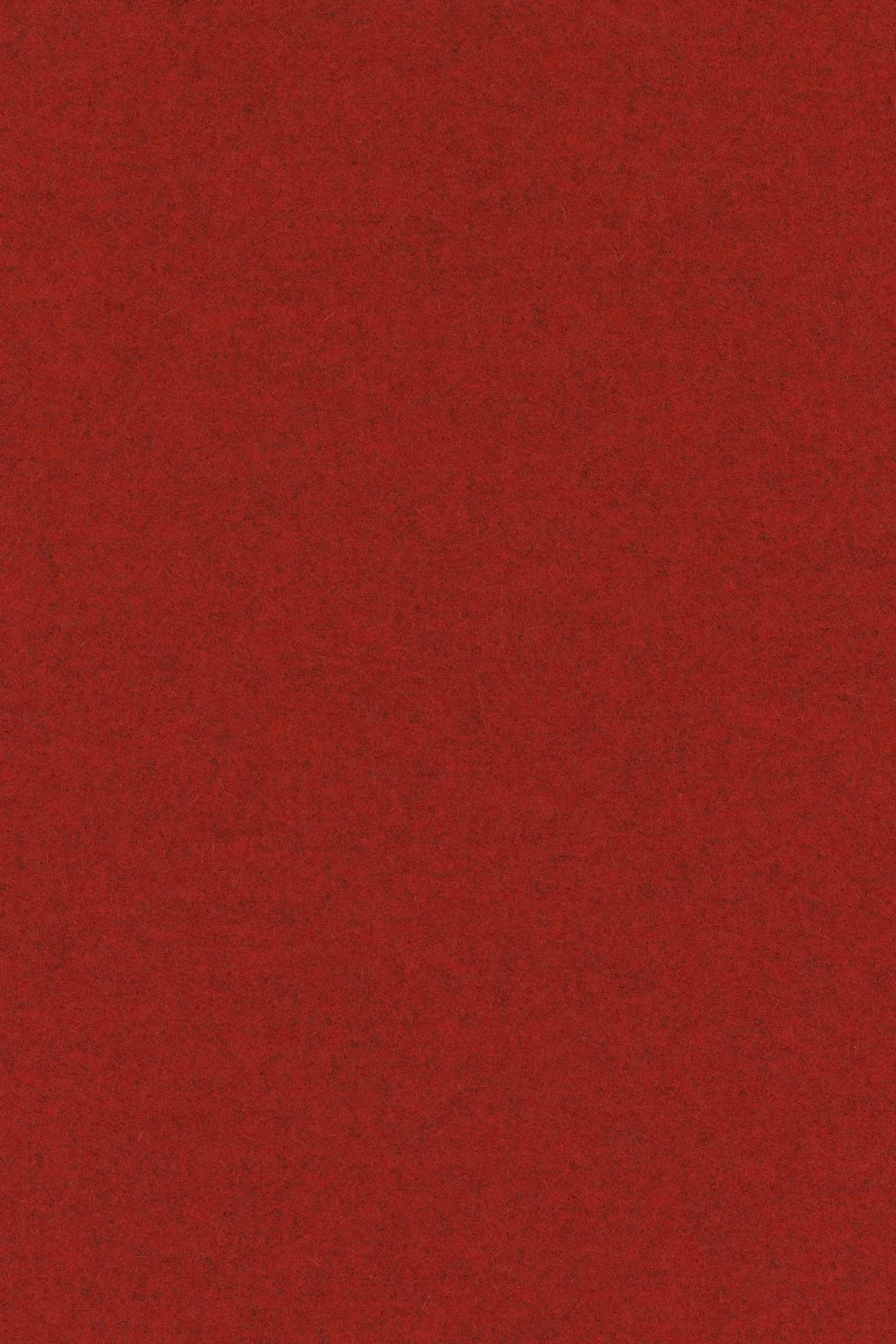 Divina melange 3, 557